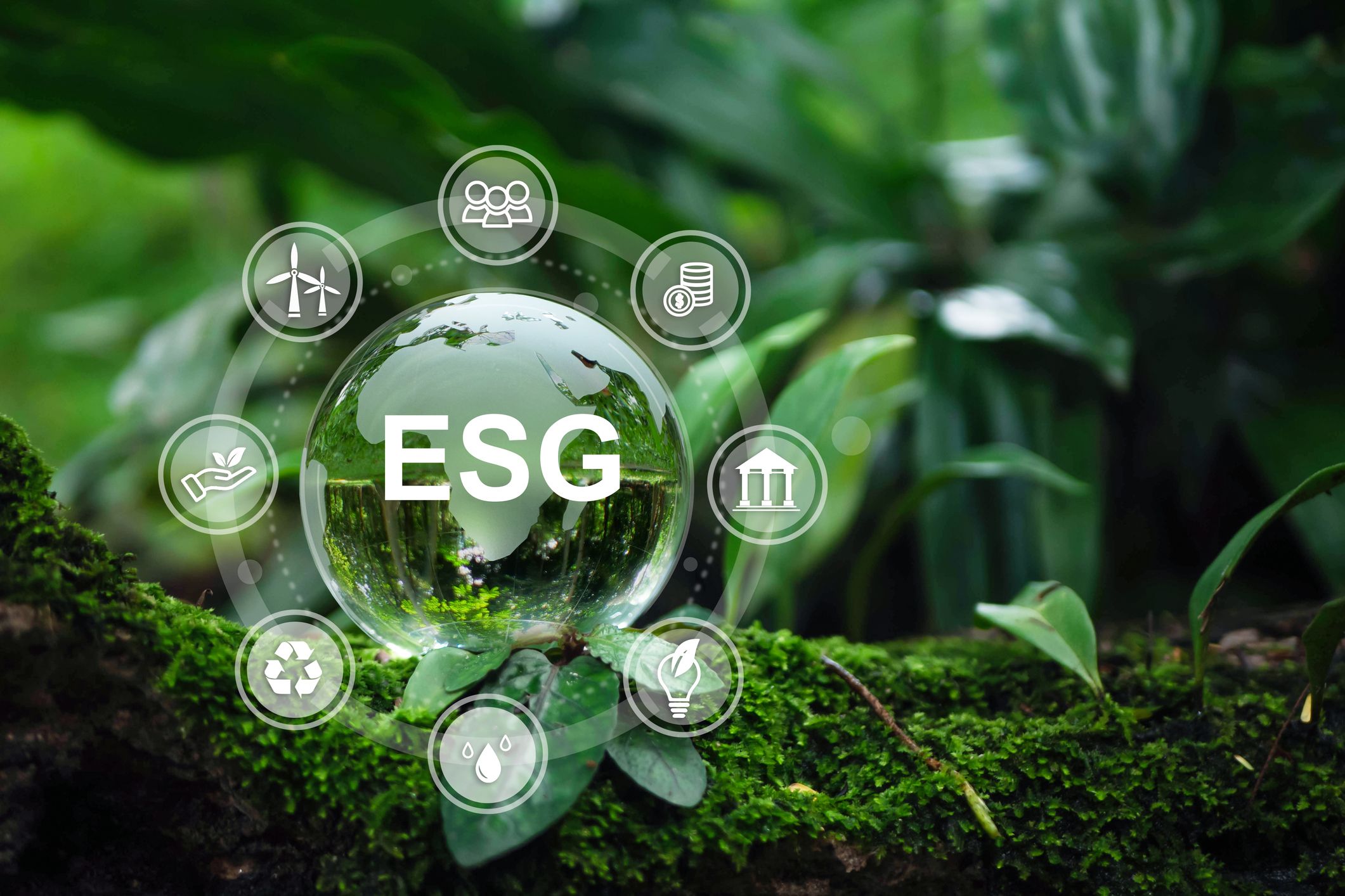 ESG